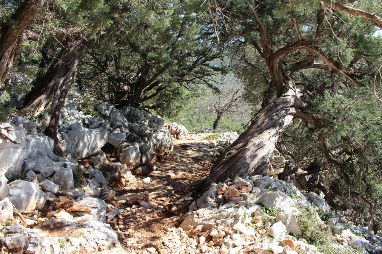 B&B Issicoro Baunei Luaran gambar