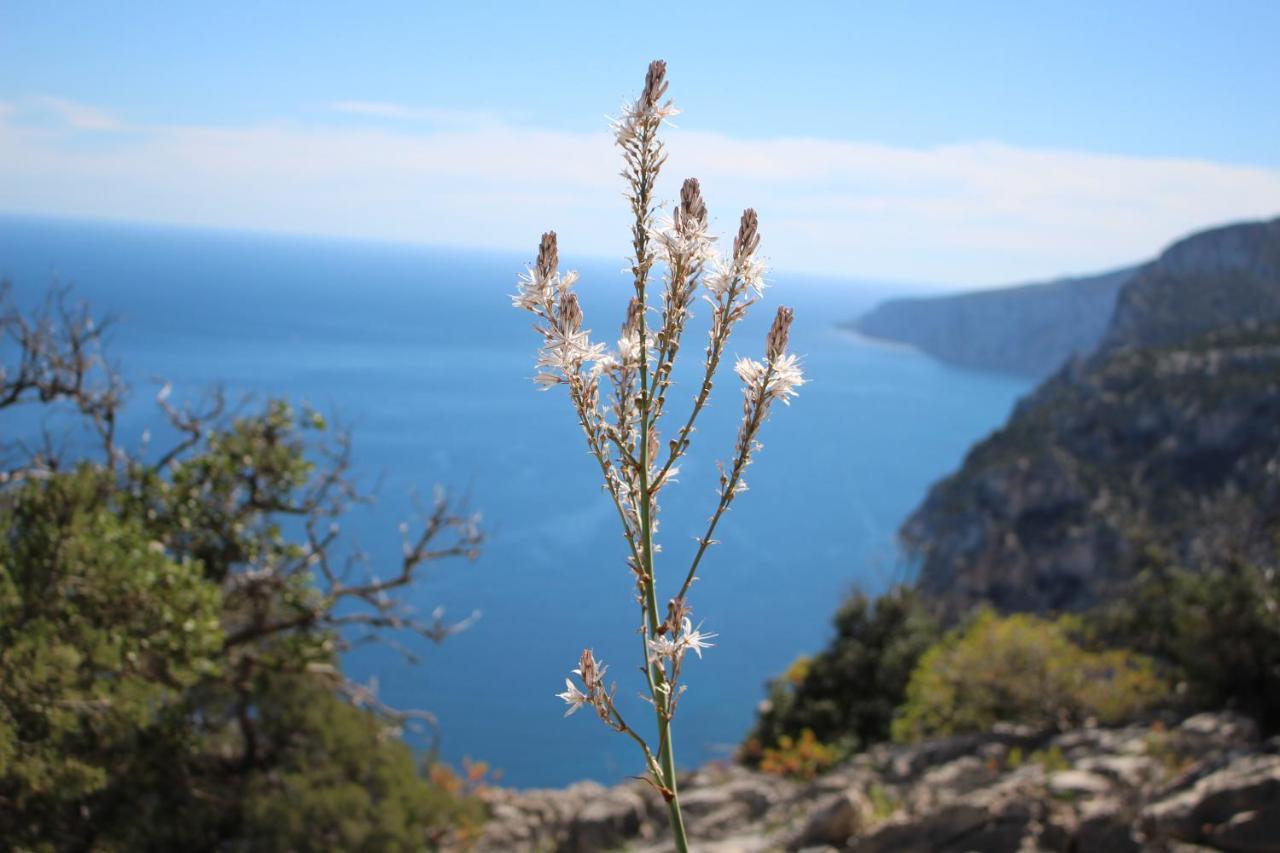 B&B Issicoro Baunei Luaran gambar